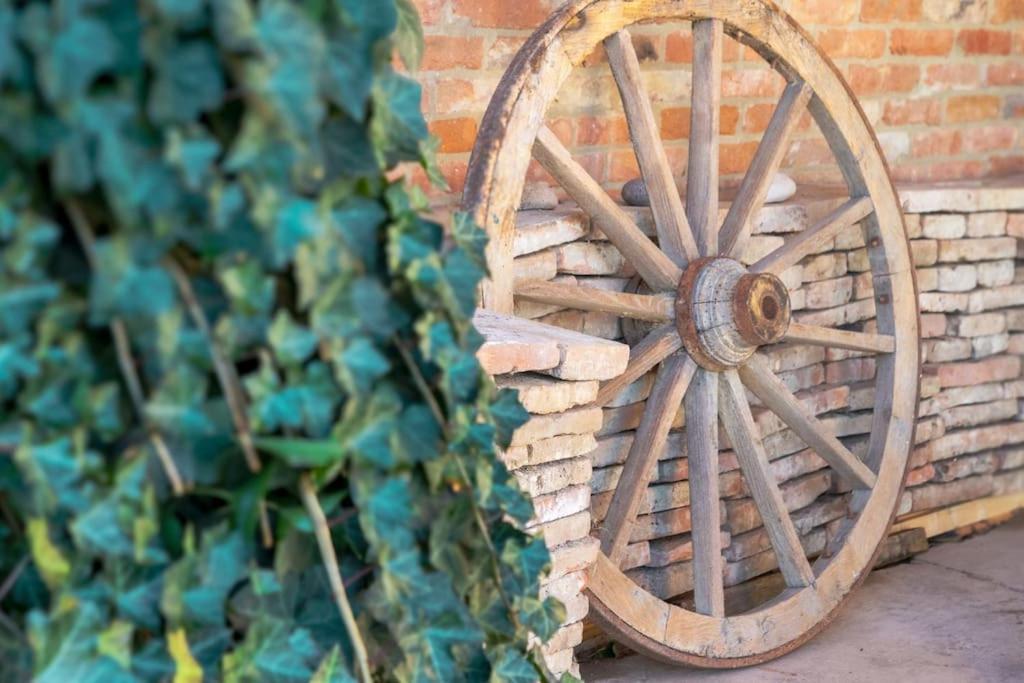 Cascina Abbona - Cascina Storica A 15 Min. Da Alba Villa Canove Ngoại thất bức ảnh